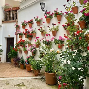  Apartamento Amal