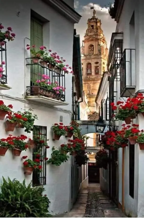 Apartment Apto Con Patio Y Barbacoa Bbq Los Picadores Cordoba